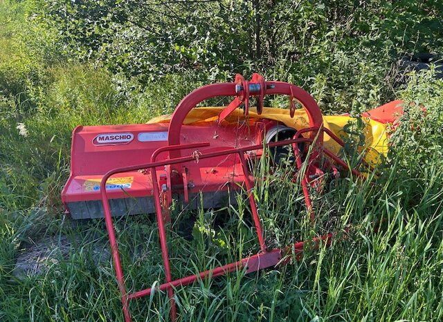 
								Tocatoare fixa / mobila pentru iarba si vlastare Maschio Brava 200 S full									