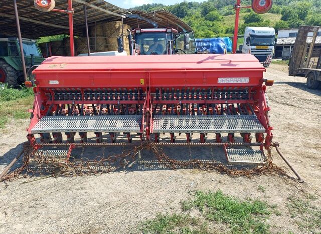 
								Semanatoare paioase GASPARDO NINA 300 full									